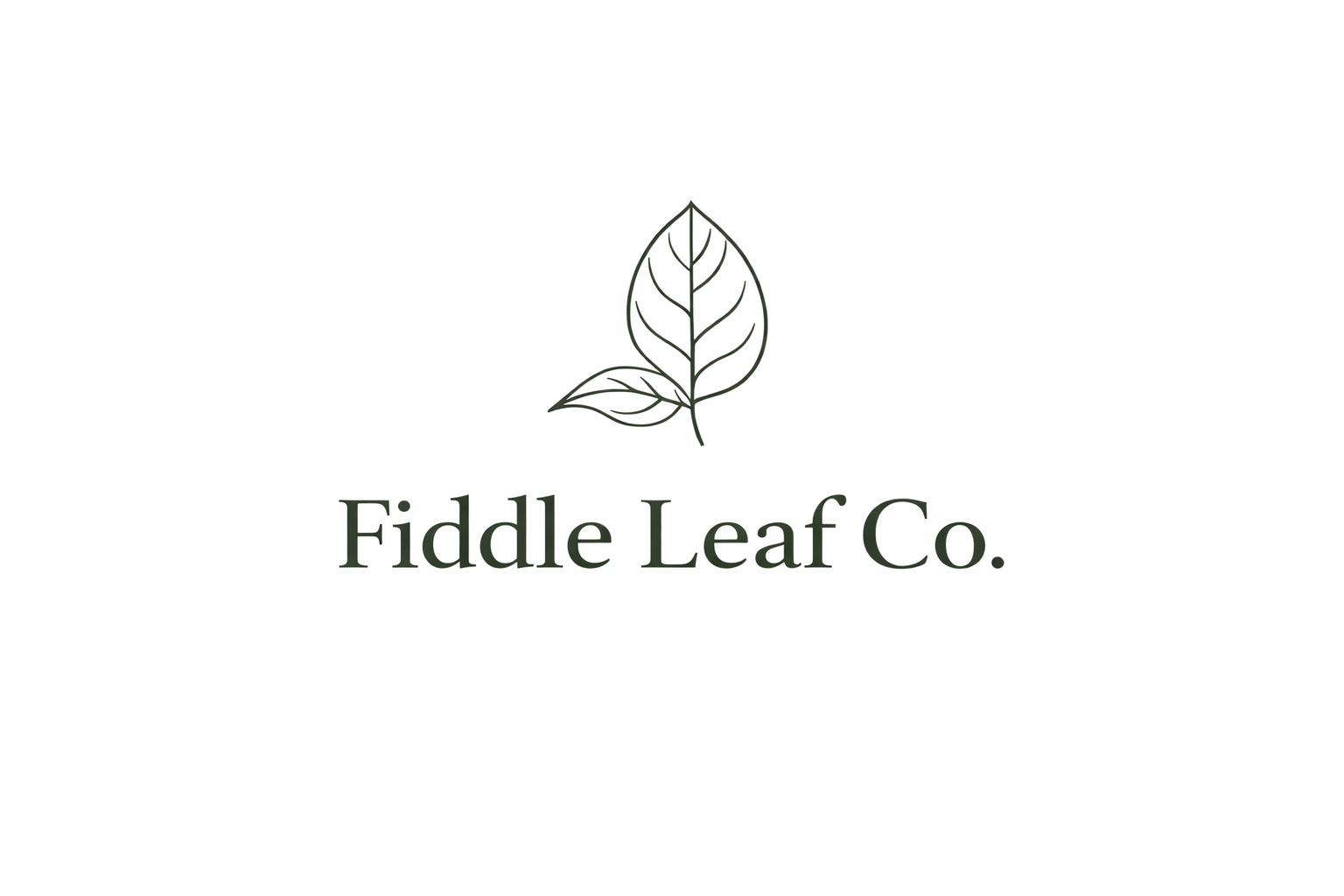 Fiddle Leaf Co LLC